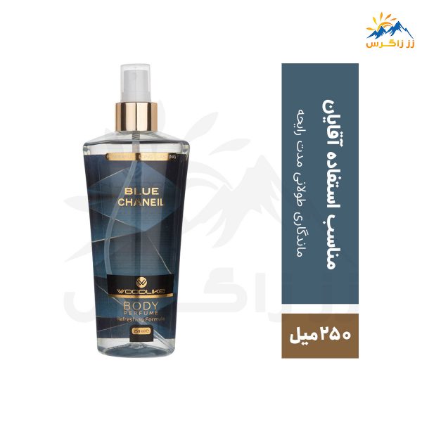 بادی اسپلش مردانه وودلایک مدل BLUE CHANEIL حجم 250 میل