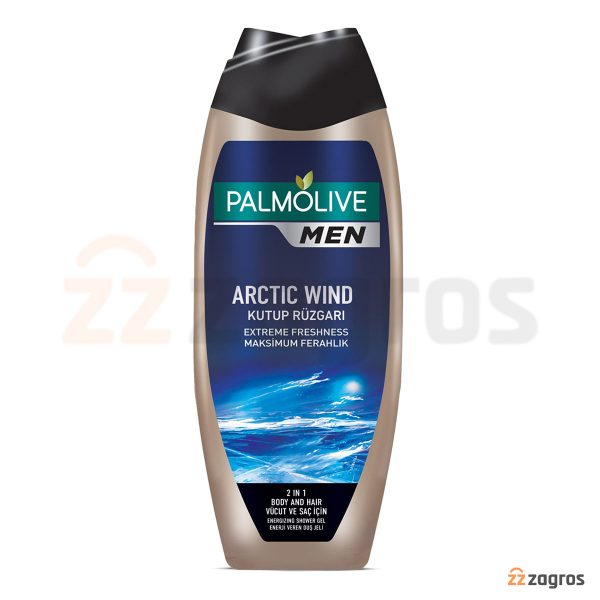 شامپو سر و بدن مردانه پالمولیو مدل Arctic Wind حجم 500 میل