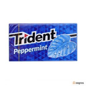 آدامس نعنایی تریدنت مدل PEPPERMINT بسته 14 عددی