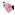 گالری تصاویرصابون مایع ارگانیک ایوب صبری با رایحه شکوفه گیلاس ژاپنی 1500 میل