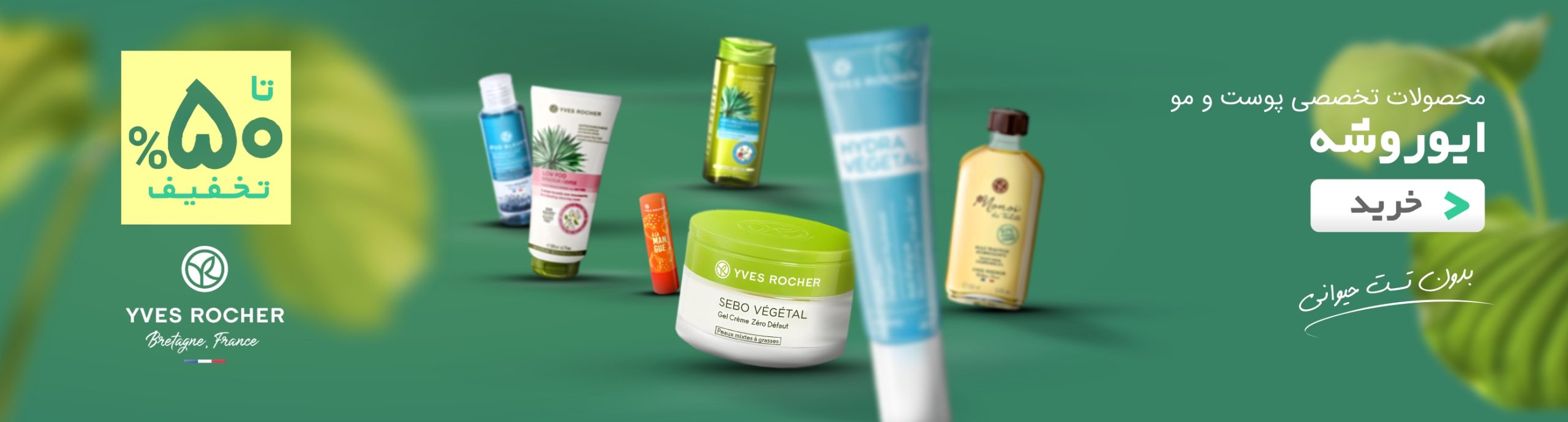 ایوروشه دسکتاپ