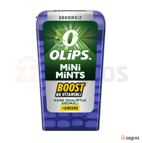 خوشبو کننده دهان بدون شکر اولیپس مدل Mini Mints با طعم اکالیپتوس و نعناع 12.5 گرم