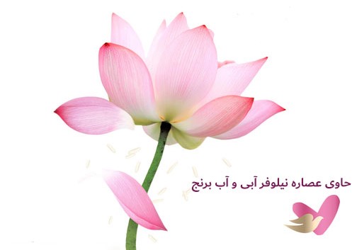 شامپو بدن بدون سولفات داو حاوی عصاره گل نیلوفر آبی و آب برنج 750 میل