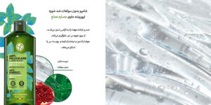 شامپو بدون سولفات ضد شوره ایوروشه حاوی عصاره نعناع 300 میل