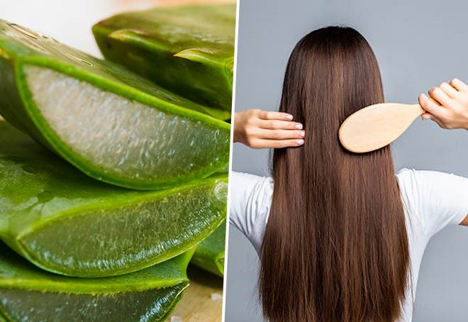 شامپو بلنداکس حاوی عصاره آلوئه ورا مناسب موهای خشک 500 میل